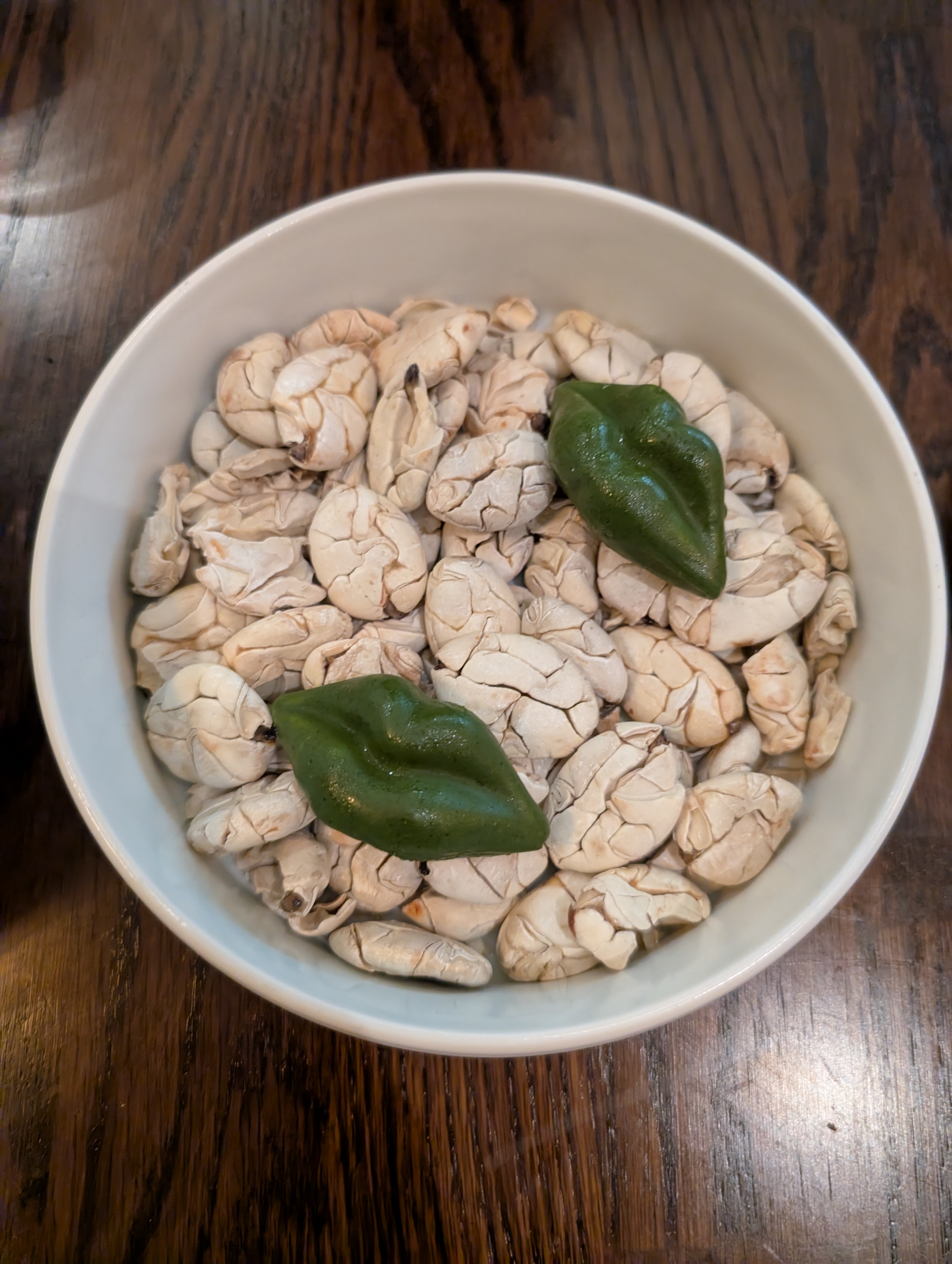 Coca Leaf Chocolates